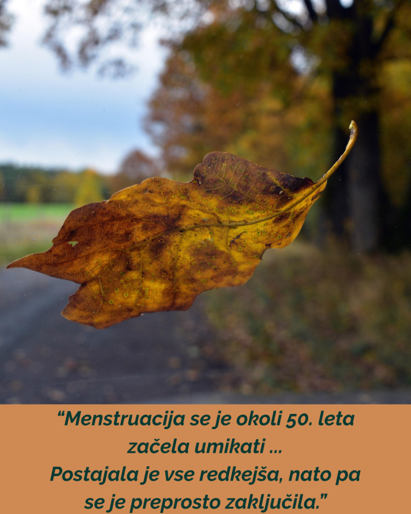 Izkušnja menopavze